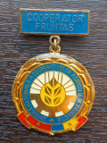 INSIGNA - COOPERATOR FRUNTAS - UNIUNEA NATIONALA A COOPERATIVELOR DE PRODUCTIE, Romania de la 1950