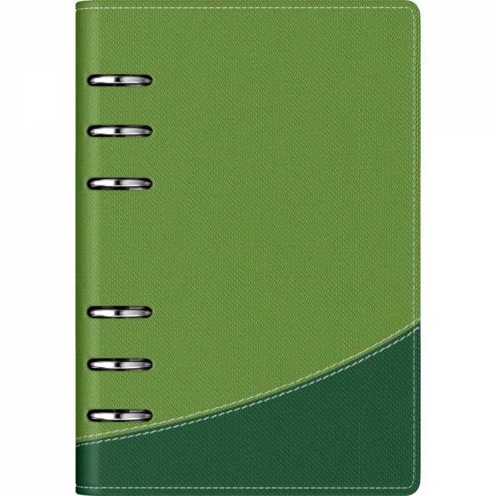 Agenda organizer B6 cu 6 inele Apple Green