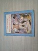 The Tale of Rocking Lime - Gyorgy Mihail (ilustrată), Editura Ion Creangă, 1985, limba engleză, Carte pentru copii, Poveste ilustrată