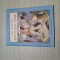 THE TALE OF ROCKING LIME - GYORGY MIHAIL (illustrated) - Editura Ion Creanga, 1985; lb engleza