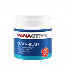 Panactive Oliven ? Blatt 90 cps foto