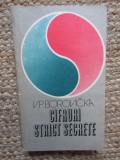 Cifruri strict secrete - V. P. Borovicka