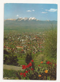 AT6 -Carte Postala-AUSTRIA- Dornbirn , circulata 1970, Fotografie