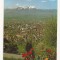 AT6 -Carte Postala-AUSTRIA- Dornbirn , circulata 1970