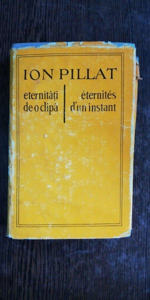 ETERNITATI DE O CLIPA - ION PILLAT