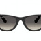 Ray-Ban Junior Wayfarer RJ 9066S 100/11