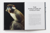 Evolution - A Visual Record | Robert Clark, David Quammen