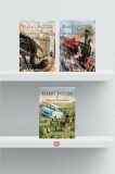 Pachet Harry Potter | Ediție ilustrată (Incomplet) - Hardcover - J.K. Rowling - Arthur