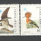 Iugoslavia.1985 Protejarea naturii-Pasari SI.579