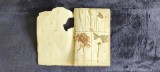 Caiet A5 pentru Ierbar, Liceul &bdquo;Sf. Sava&rdquo; (Anul 1911) A5 &ndash; 48 pagini cu plante presate și etichete manuscrise