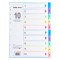 File Separatoare Dosar, Office Style, Set 10 Bucăți, Multicolor, Format A4