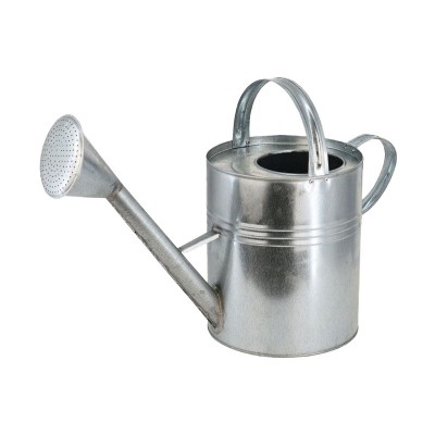 Stropitoare din tabla zincata, 5 L foto