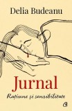 Jurnal. Rațiune și sensibilitate - Paperback brosat - Curtea Veche