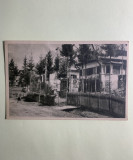 Carte postala-Poiana Țapului -Case de odihna, Circulata, Fotografie