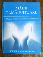 Manual pentru studierea aurei umane, Maini Tamaduitoare - Barbara Ann Brennan