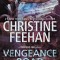 Vengeance Road