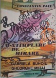 O &Icirc;nt&acirc;mplare de Mirare - Constantin Paiu - Carte