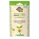 Ridiche Purpurie pentru Germinat Bio Germline 100gr