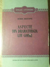 ASPECTE DIN DRAMATURGIA LUI GORKI-HORIA DELEANU foto