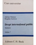 Adrian Nastase - Drept international public, editia 7 (2012)