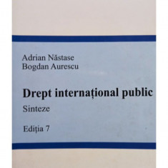 Adrian Nastase - Drept international public, editia 7 (2012)