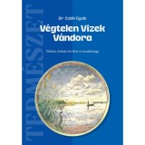 V&eacute;gtelen Vizek V&aacute;ndora - D&eacute;k&aacute;ny Andr&aacute;s &iacute;r&oacute; &eacute;lete &eacute;s munk&aacute;ss&aacute;ga - Csi&aacute;k Gyula