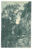 1976 - DEVA, Hunedoara, Romania - old postcard - unused