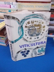 T. MARTIN - VITICULTURA , ED. A-II-A , 1968 foto