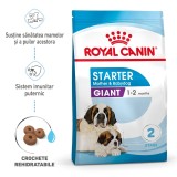 Royal Canin Giant Starter Mother &amp; Babydog, mama si puiul, hrana uscata caine,