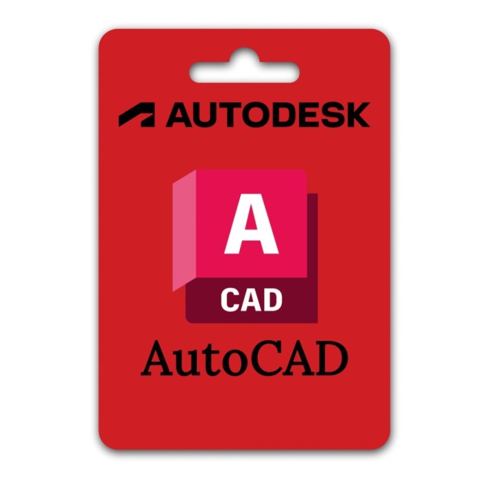 Licenta Autodesk AutoCAD, software proiectare, asociere cont, valabilitate 2 ani, Licenta Electronica