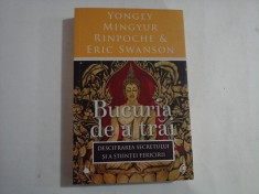 YONGEY MINGYUR RINPOCHE &amp; ERIC SWANSON - BUCURIA DE A TRAI - DESCIFRAREA SECRETULUI SI A STIINTEI FERICIRII