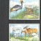 GAMBIA 1994 CIUPERCI ANIMALE SI PASARI