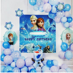 Set arcada baloane Anna si Elsa - Frozen
