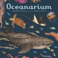 Oceanarium: Welcome to the Museum