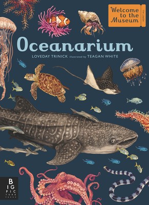Oceanarium: Welcome to the Museum foto
