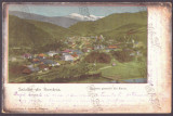 2232 - 25085 RUCAR, Arges, Panorama, Litho, Romania - old postcard - used - 1901, Circulata, Printata