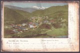 2232 - 25085 RUCAR, Arges, Panorama, Litho, Romania - old postcard - used - 1901, Circulata, Printata