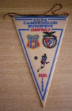 D9 - Fanion - fotbal - Steaua Bucuresti - Benfica Lisabona - CCE - 6 apr 1988
