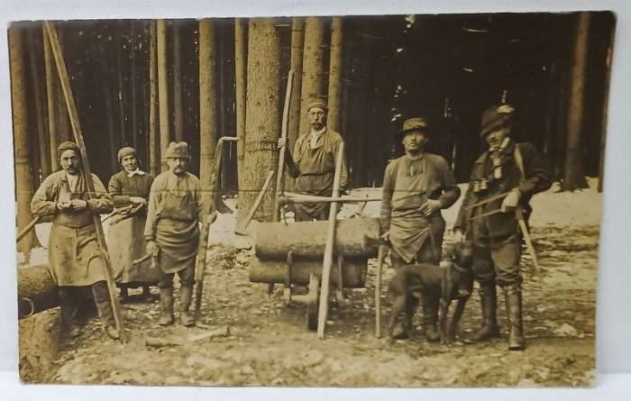 TAPINARI SI PADURAR LA MUNCA IN PADURE , FOTOGRAFIE FORMAT CARTE POSTALA , INCEPUT DE SECOL XX
