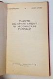 PLANTE DE APARTAMENT SI DECORATIUNI FLORALE- EUGEN SADOFSKY SI AMELIA MILITIU