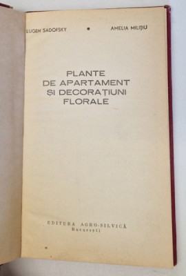 PLANTE DE APARTAMENT SI DECORATIUNI FLORALE- EUGEN SADOFSKY SI AMELIA MILITIU foto