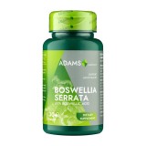 Boswellia Serata - Extract Tamaie 350 miligrame 30 capsule Adams Vision