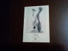 ARP Sculptures - Michel Seuphor - 1964, 7 p+24 pl.