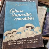 Cultura ciupercilor comestibile , M. Bulboaca