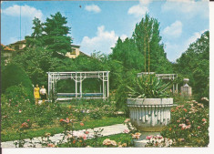 Carte Postala veche - Timisoara - Parcu Rozelor 1987, necirculata foto