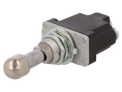 Rezistor comutator basculant ON-OFF-ON 6A foto