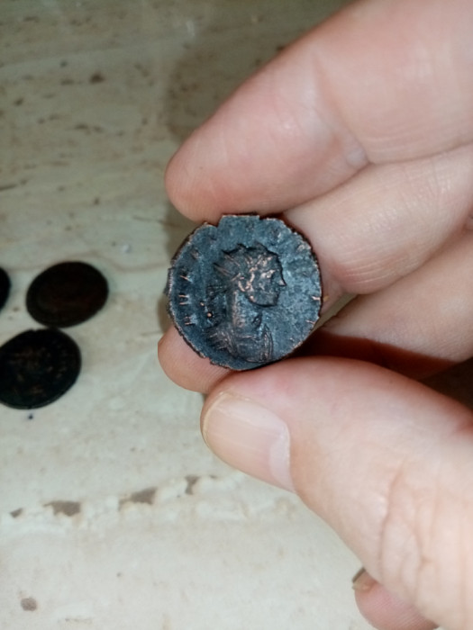 Lot 4 monede autentice Imp roman, antoninianus, imp Probus, 276-282