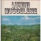 Dumitru Baciu - Lumini muscelene - 130896