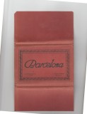 bnk cp Spania - Barcelona - pliant cu 20 carti postale necirculate - anii 20-`30