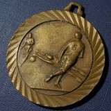 Medalie Veche de Fotbal 1979, făcută din Bronz - VII Torneo - ITALIA, Europa